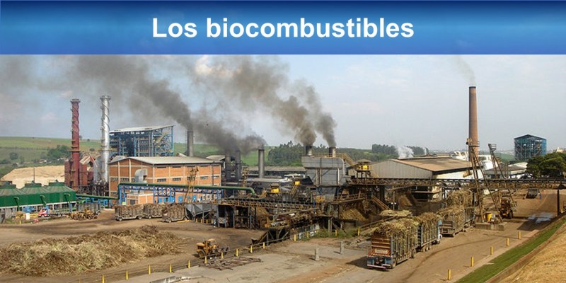 biocombustibles