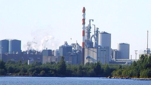 Richter, su digestor y yo